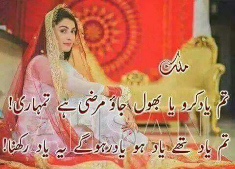 Shaikh Shakeel (@shaheen977) on Twitter photo 