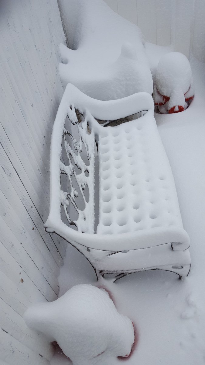 ny007ny's tweet photo. @News12LI #listormwatch https://t.co/V6jbMh3CbM