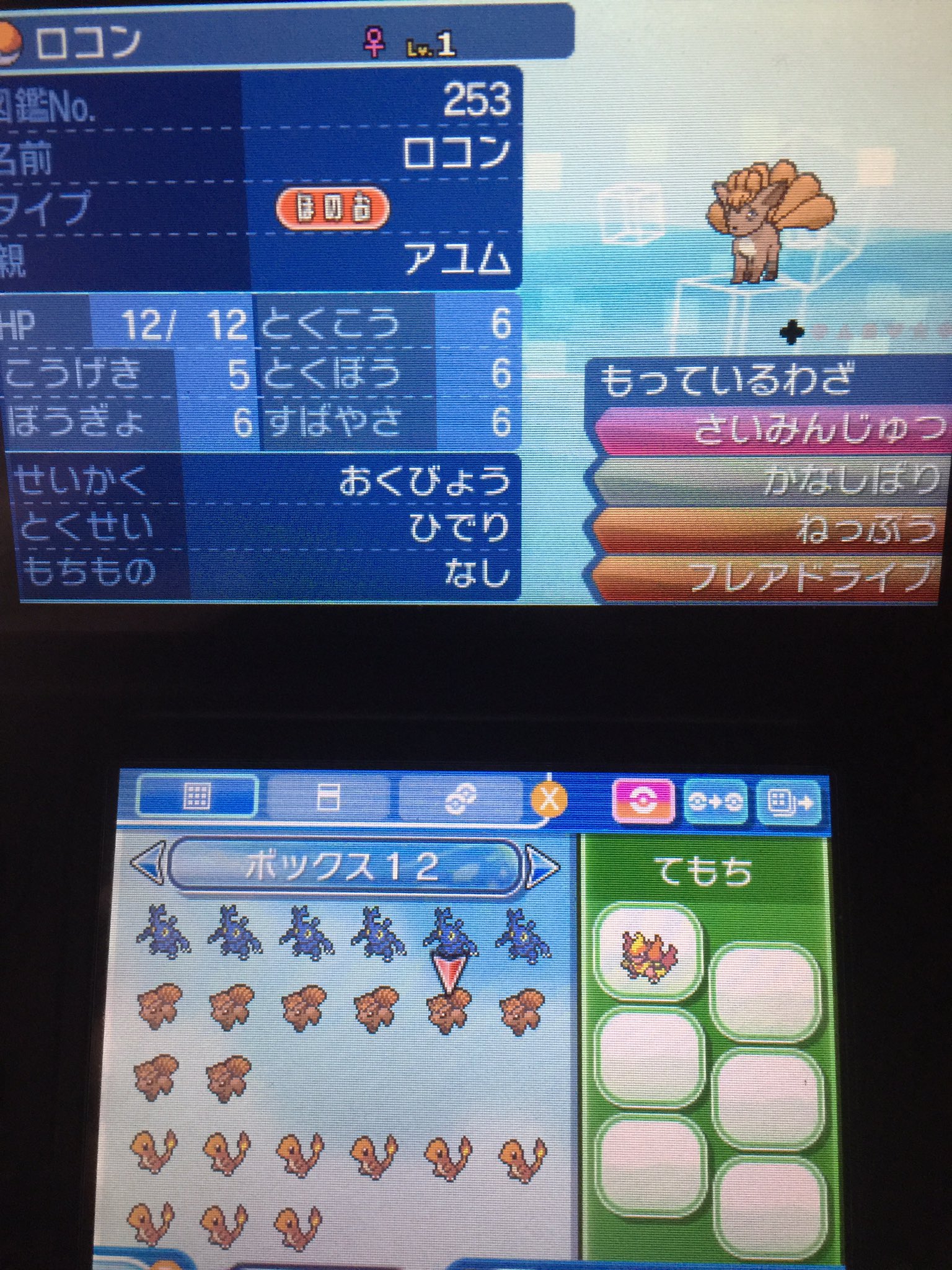 ヘラクロス夢特性 Twitter Search Twitter
