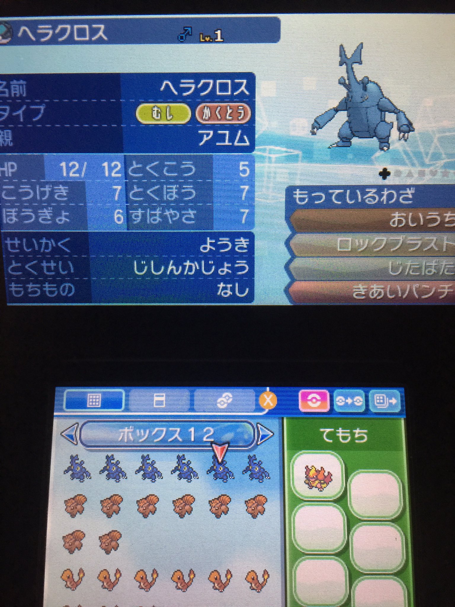 ヘラクロス夢特性 Twitter Search Twitter