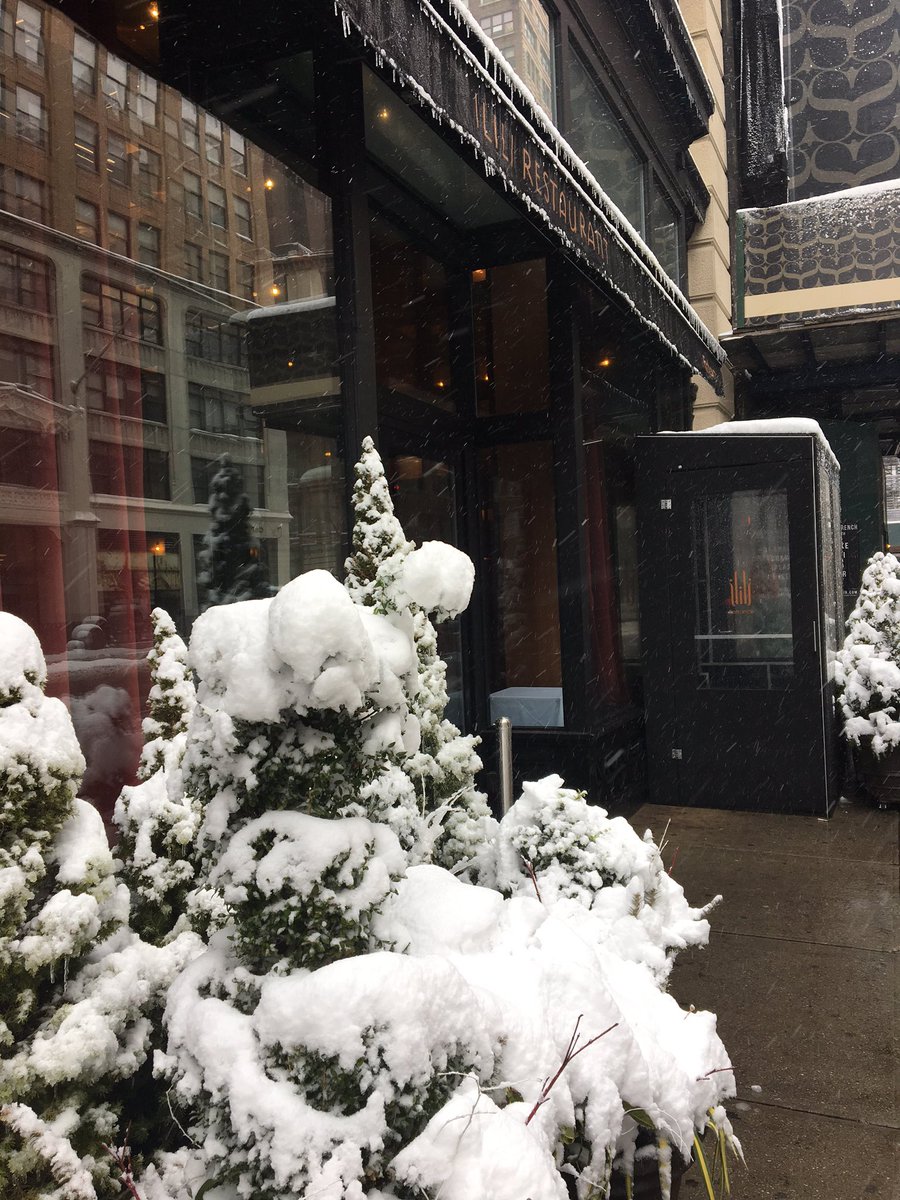 We won't let a little snow stop us. #snowday #opentoday