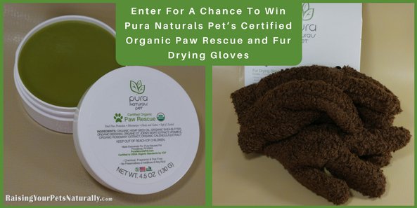 dogtrainer4ever's tweet photo. @PuraNaturalsPet Paw Rescue & Fur Drying Gloves Giveaway! https://t.co/HOtw2hHydK #sponsored #giveaways #petcontests #naturalpets #pets https://t.co/T7aTSpr5kf