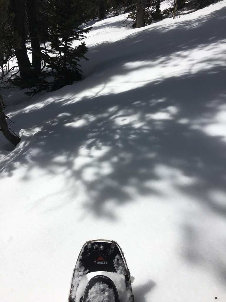 theofam's tweet photo. Breaking trail at the base of Mount Evans with #msrsnowshoes from #avidmax https://t.co/19BoGZkCmN