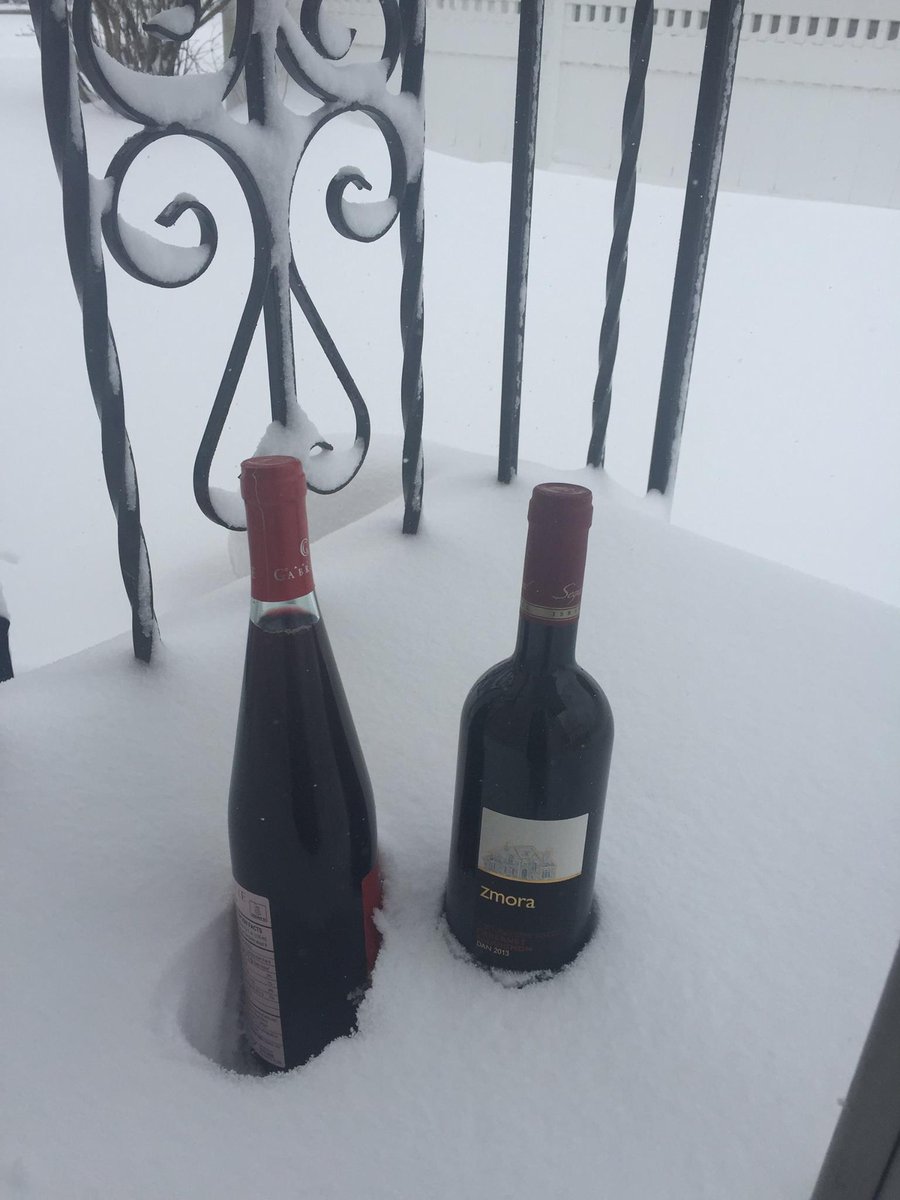 cherylspencern's tweet photo. @News12LI Snow Day on the island. When life gives you lemons you make the best of it #mykindoflemonade https://t.co/VlslLuBSEe