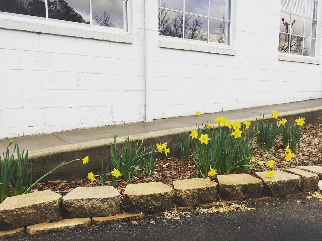 What the hell, February 8th? #climatechange #polarbear #ATL ift.tt/2lm3Arw Join the #UNselfies revolution…