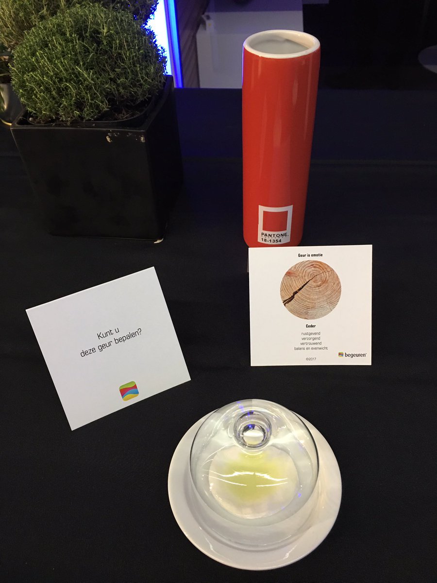 anneguffens's tweet photo. Veel succes Bmw Jorssen met de lancering van de 5 reeks. 
#belevingsavond
#begeuren https://t.co/uey8JfAAnc