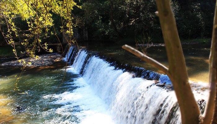 LCascadas's tweet photo. @edelamadrid Sin duda... destinos Mexiquenses #VillaDelCarbón #Edomex https://t.co/IlFsnRMelv