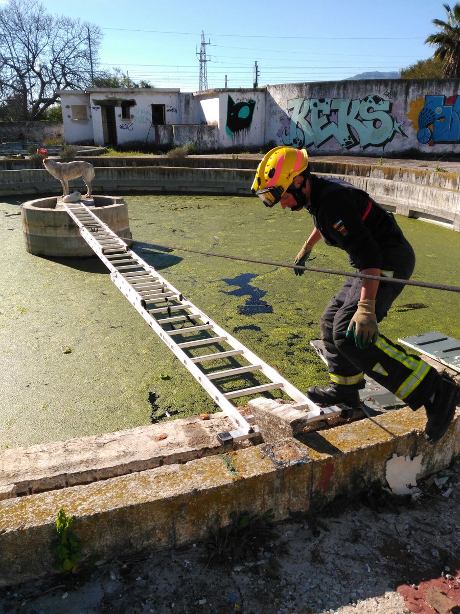 opiniondemalaga's tweet photo. Rescatan a dos perros en un  depósito de la antigua empresa textil Intelhorce https://t.co/z8xPwUzwBR https://t.co/rWShFPfNhA