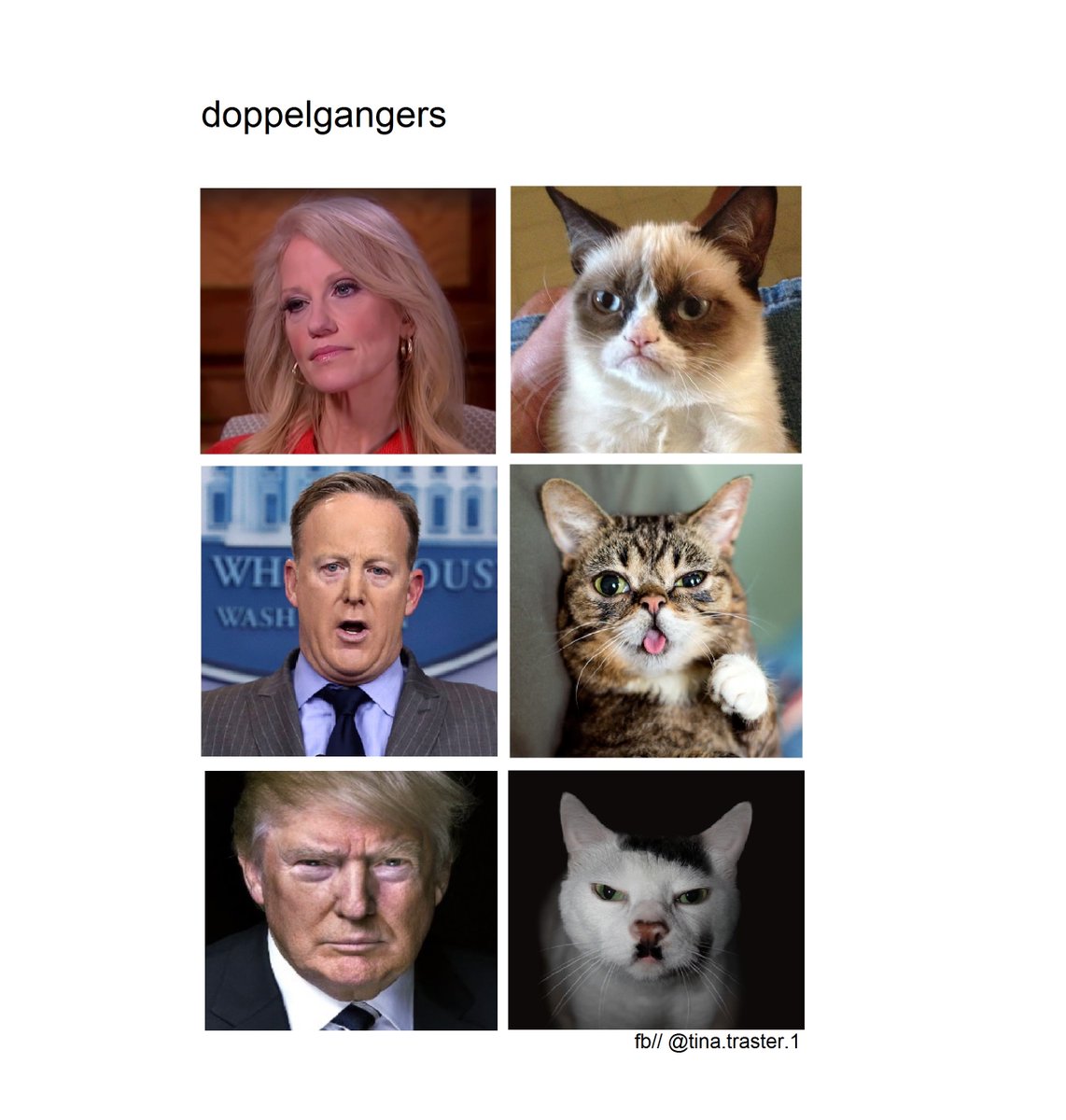 Tina Traster tweet media