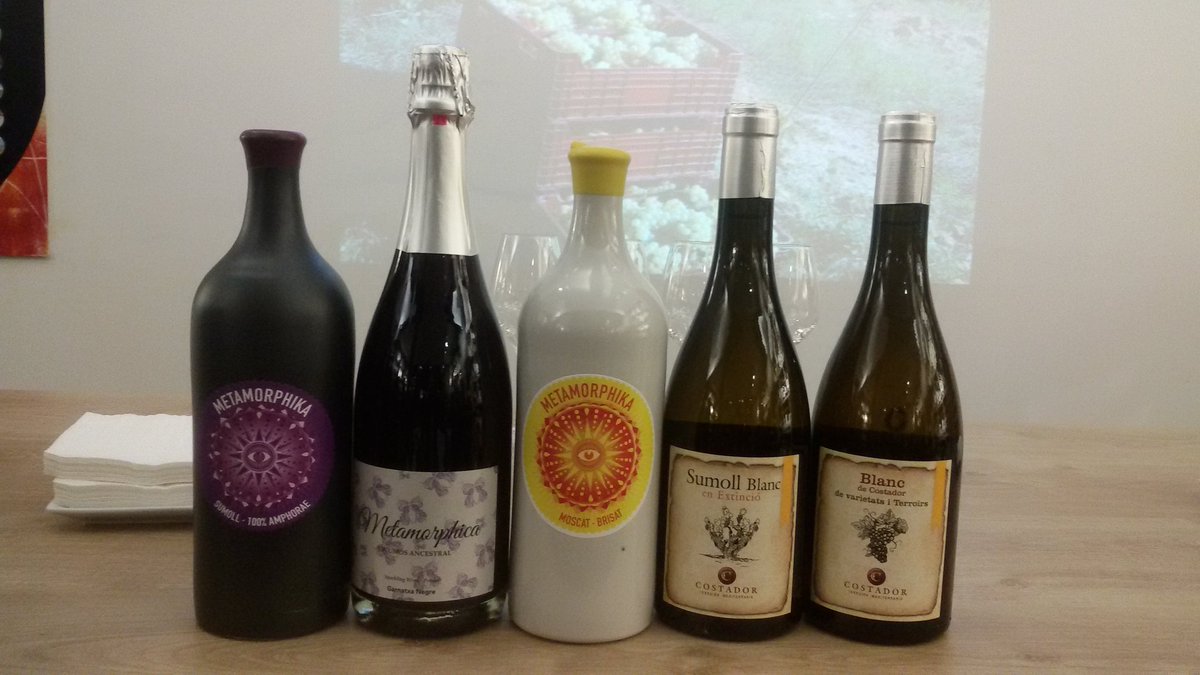 Gaudint del tast de <a href="/costadorwines/">Costador</a> a <a href="/vinsandco/">Vins&Co Barcelona</a> #vicatalà