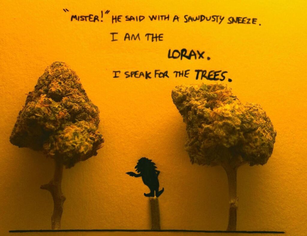 HighMinds420's tweet photo. I speak for the trees https://t.co/XIgS8FtOSm