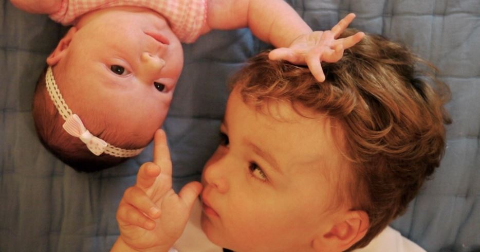 ladbible's tweet image. It turns out the first-born sibling is the most intelligent. 
theladbible.com/now/interestin…