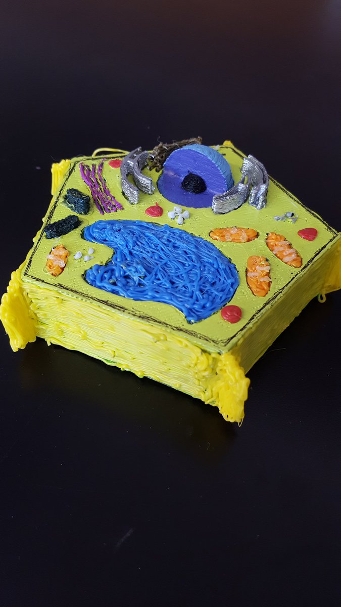 When a 7th grader 3D prints his cell model...