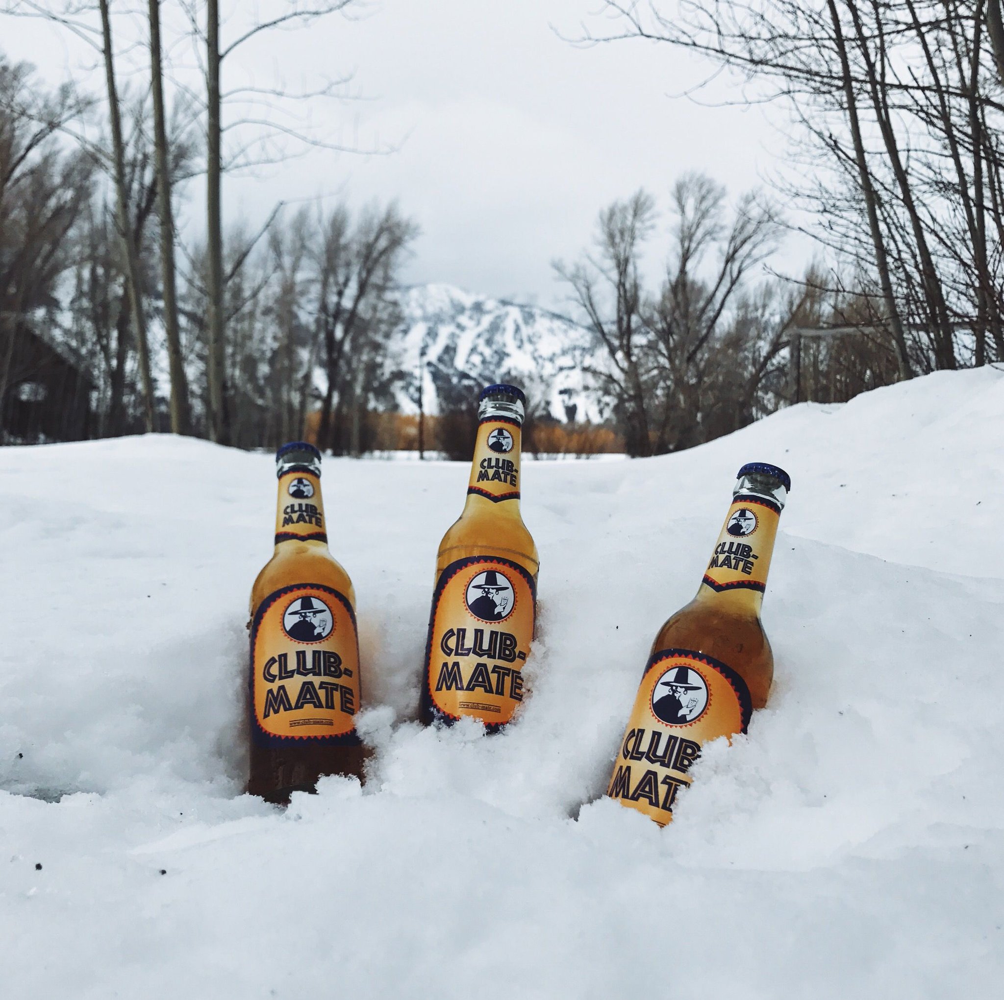 Club Mate Usa Chilled To Perfection