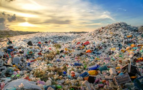 One Green Planet tweet media
