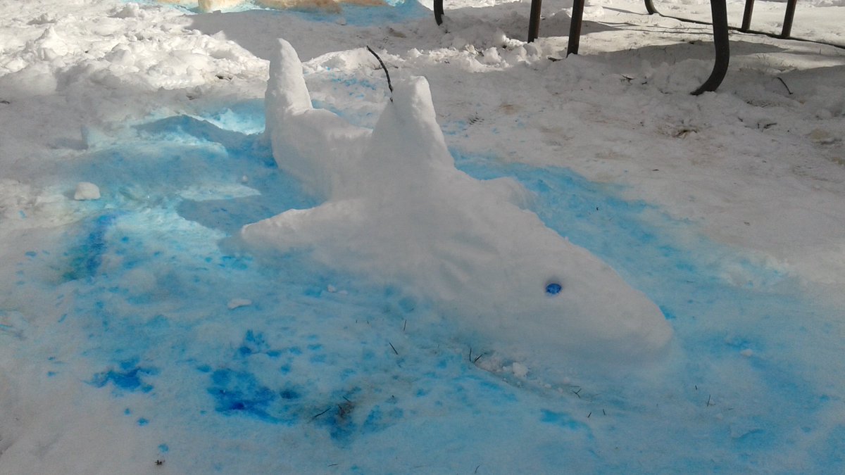 jm_ayrton's tweet photo. hey @OCEARCH I tagged an elusive great white snow shark! https://t.co/1Spt03waxX
