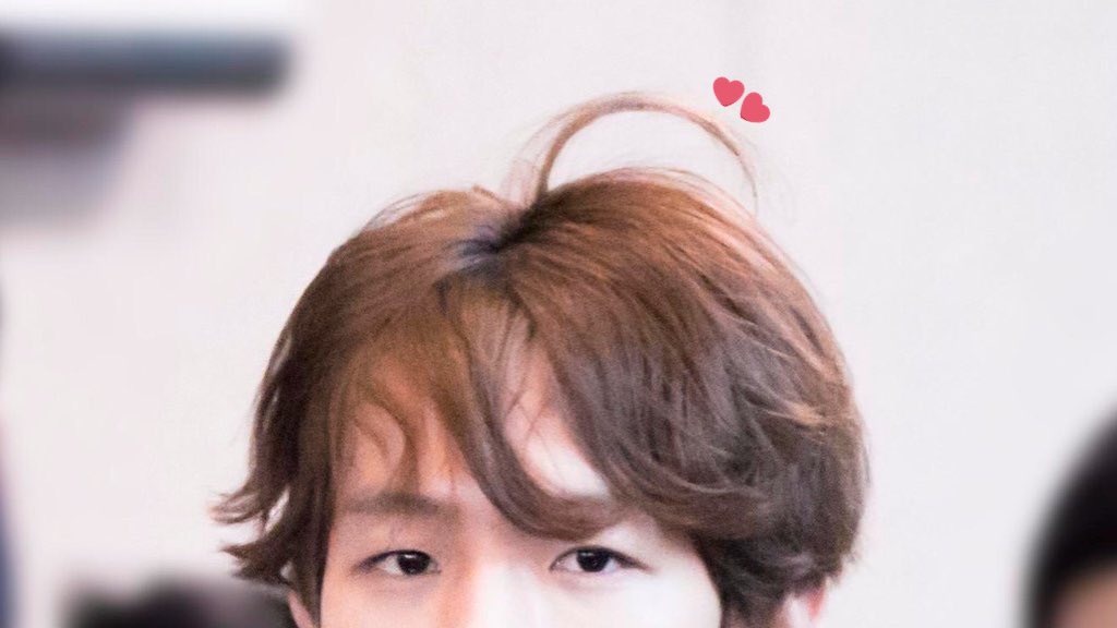 baekhyunshair's tweet photo. 🌱💕 https://t.co/VVFybgpvjv