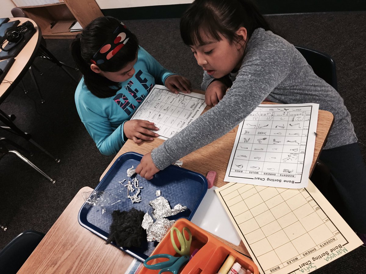 Msjamessunshine's tweet photo. We are Inquirers using the scientific method! @ADES_SMUSD https://t.co/5shJlMpWue