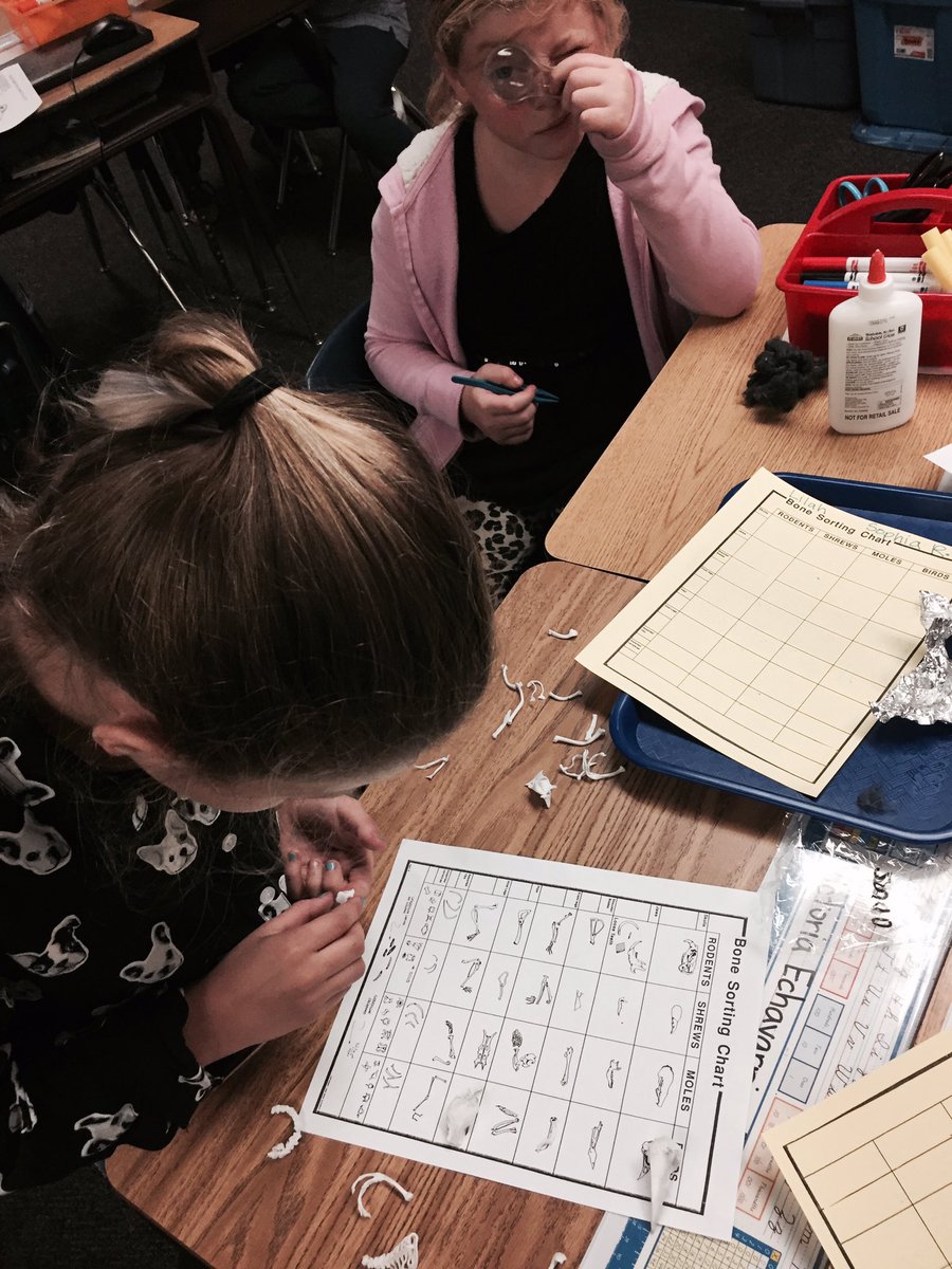Msjamessunshine's tweet photo. We are Inquirers using the scientific method! @ADES_SMUSD https://t.co/5shJlMpWue