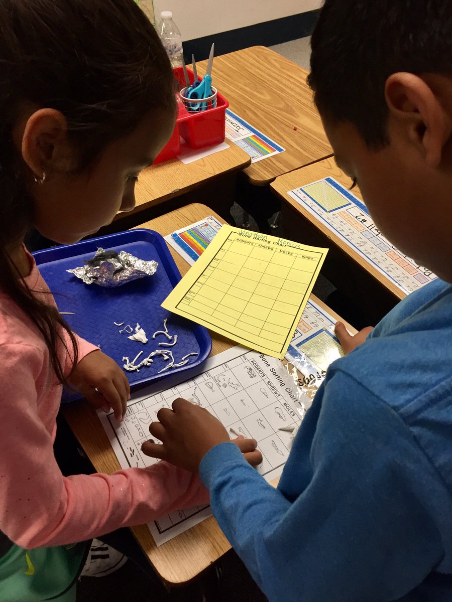 Msjamessunshine's tweet photo. We are Inquirers using the scientific method! @ADES_SMUSD https://t.co/5shJlMpWue