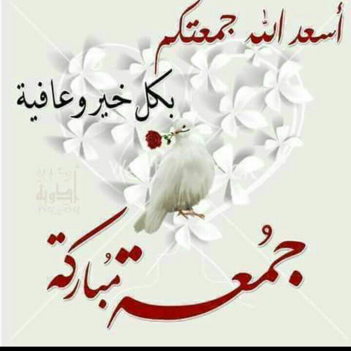 Attia301M's tweet photo. جمعه طيبه https://t.co/ctdn35viFt