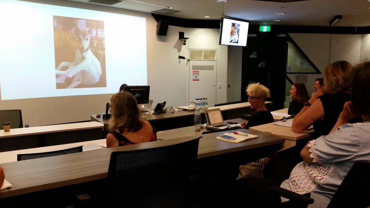 MutinyMedia's tweet image. #Docuverse 2017 Liz Burke talking about Aliens Among Us  - a transmedia documentary about people and dogs. Subject:Agnes the whippet. #rmit