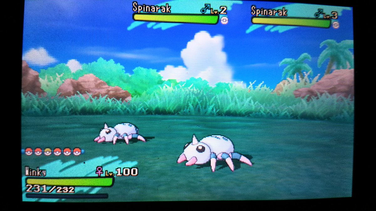 xN1ta's tweet photo. Nooo! 😭Back to Back..906 and 907. #shinypokemon @JCBLPs @Hound00med @JayYTGamer @GalacticElliot @DIGEllektrikk @SmkGaming05  @TaintedTerror https://t.co/K9NPDRbuAf