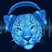 LeopardSound's tweet image. ¡En @LeopardSound nunca descansamos! ¡Haz tu reserva ahora!