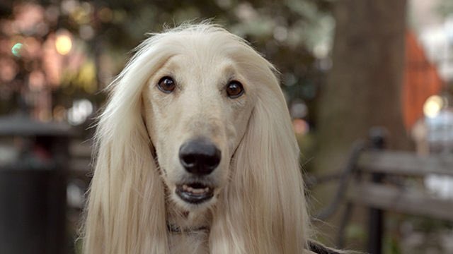 Happy birthday judith light 