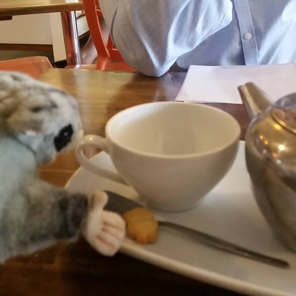 RobynCharlton1's tweet image. @I_am_Lake_Macq The Rail Trail Adventure flic.kr/s/aHskNbvtwy #environmentaleconomics #Tourism #commutersolutions #ScribblyGumReserve