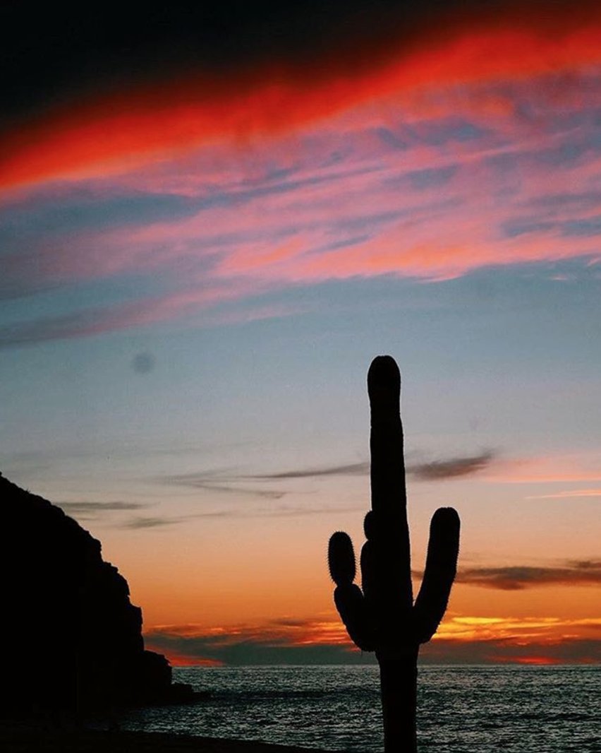 HotelSanCris's tweet photo. Sunset over #HotelSanCristobal: we can't wait for you to see it for yourself. 📷: https://t.co/0hrPzkyPzg #hotelsancristobal https://t.co/emoFSWSrQz