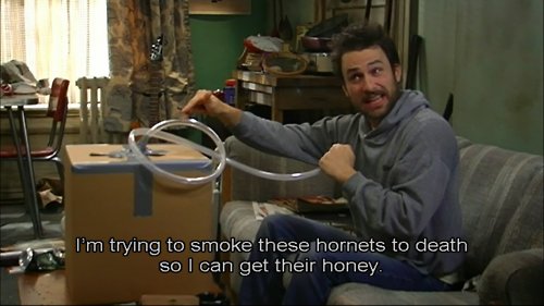 Happy Birthday to quite possibly my favorite actor of all time, THE Charlie Day! 