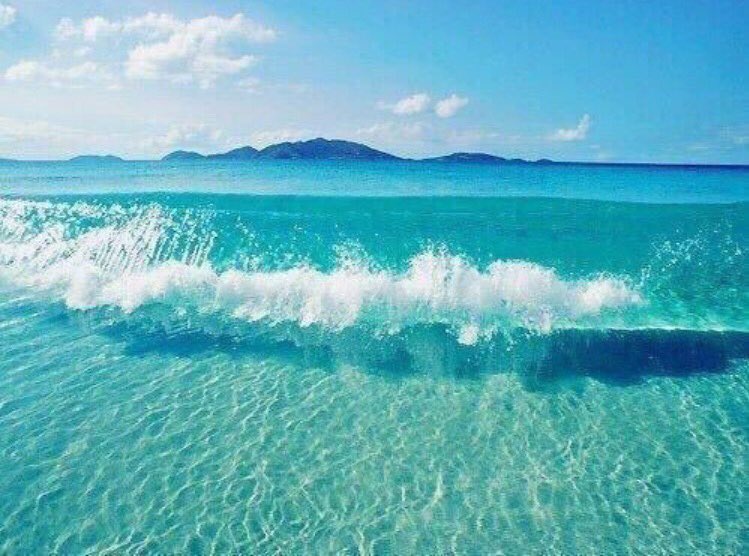 Indy_Pacers2k's tweet photo. crystal clear Bahamas waters 🌊 https://t.co/F5B905HGjs