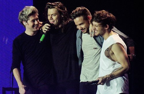 fromhappygarden's tweet image. This is not about winners or losers but we won!! THIS IS MY FAMILY. I'N SO PROUD #1DFandomParty #BestFans2017 #OneDBestFans