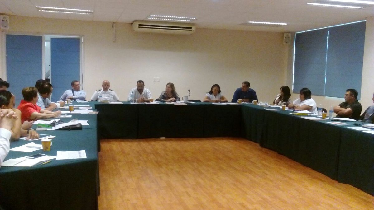 YUUMKAAX_UACAM's tweet photo. Presenta nuestra Coordinadora General la Mtra. @MiriamSahagunAr informe de actividades de su gestión como presidente del #CECAEC #Campeche 🍃 https://t.co/XvjhhNS7Pn