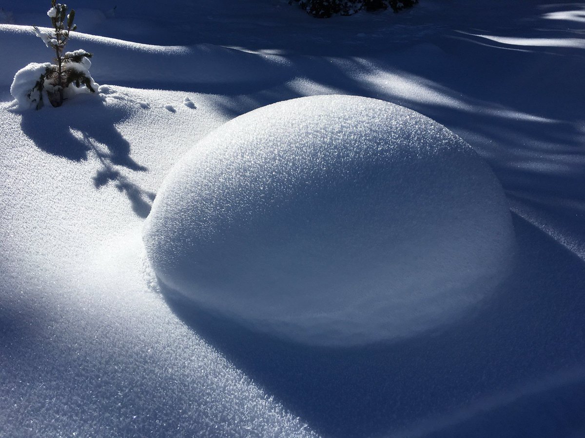 StormHour's tweet photo. Snow pillow perfection. #WinterinYellowstone Courtesy of @YNPLodges #StormHour #SnowHour https://t.co/XUUmFKqiZA