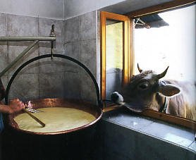 turinepi's tweet photo. #Bettelmatt #cheese from the top tip of #Piedmont https://t.co/UByQUH5n9z #cheeselovers #vidaroyal #foodies #travel #luxurytours #italy #veg https://t.co/wv1rQhy8Dg