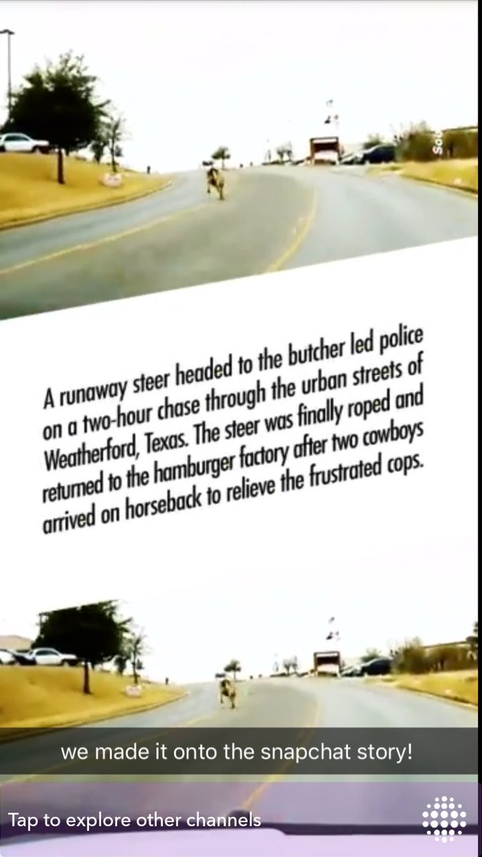 kylie van cleave (ksmileyvc) Twitter