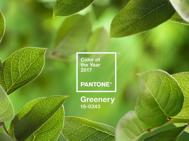 MolsonDesign's tweet photo. What can brands learn about #thoughtleadership from Pantone’s #coloroftheyear? Identity’s @iammickeyd explains: https://t.co/fm00s0IEMR https://t.co/SAUlHiEWHM