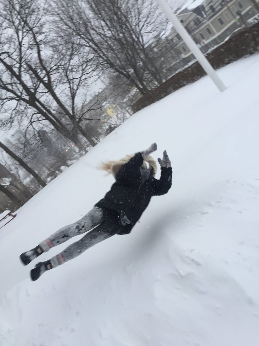 LilyWFord's tweet photo. . @cwooots What else is there to do during curtailed ops!? #UNHsnowday #Nico https://t.co/cX8xeJFsYn