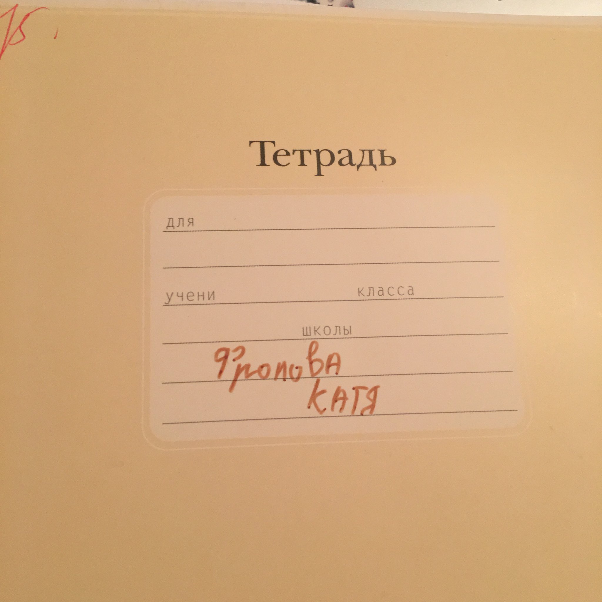 Смешные рисунки, картинки как подписать тетрадь по английскому