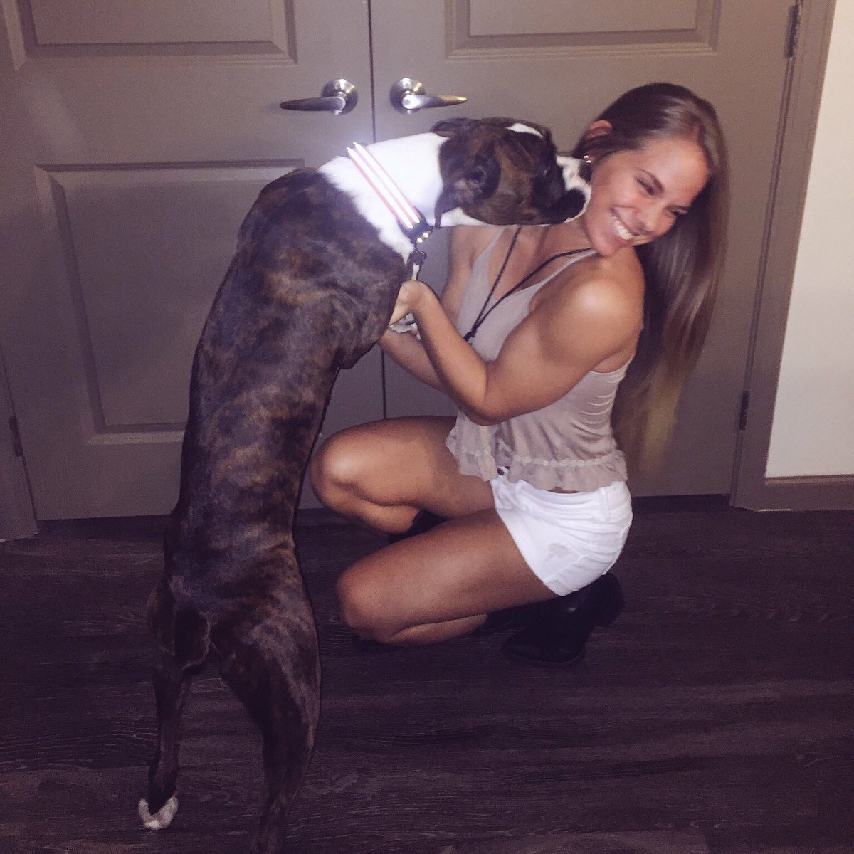 destinyjohnss's tweet photo. I can't believe that my sweet sweet boy is ONE YEAR OLD today 😩😍🙈 he needs to stop growing up right now! I love him so much! 🐶 https://t.co/FiYP53XFVK