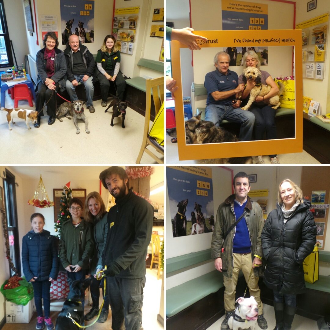 Dogs Trust Newbury (DT_Newbury) Twitter