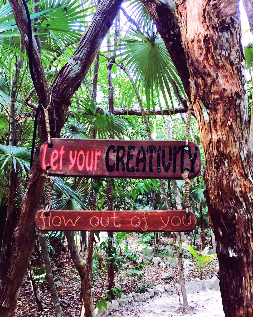 prettyingreentv's tweet photo. #Travel 🇲🇽Jungle Adventures! Eco-scouting Holistika #yoga #tulum #retreat #green #mexico #Sustainable #turismorural #ProtectNationalParks https://t.co/eGFHfDg0e1