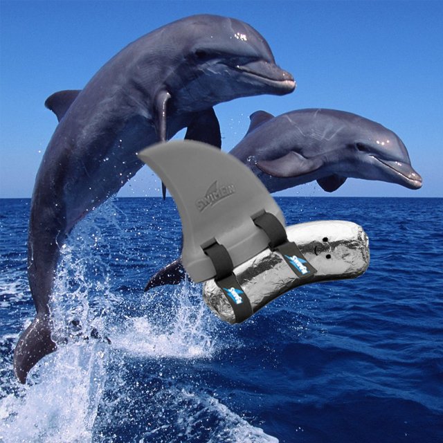 PintoTheBurrito's tweet photo. Haters will say it's photoshopped @DosToros https://t.co/PswIT52aIY