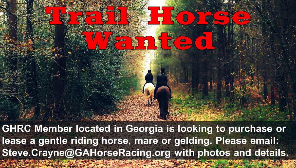 GHRC Member located in Georgia is looking to purchase or lease a gentle riding horse, mare or gelding.