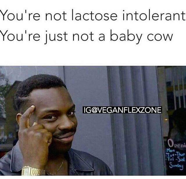 imaginary_nica's tweet image. #stop #youlookdumb #validargument #lactoseintolerance #milk #stopthis #usefacts #facts #screaming
