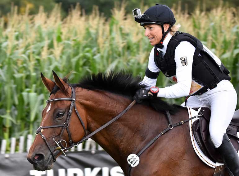 EventingConnect's tweet photo. Ingrid Klimke reveals 2017 season plans for her all-star horse lineup #GermanEventing #EquineHour https://t.co/SUxN1WOMLB https://t.co/Ozz6lhjJwH