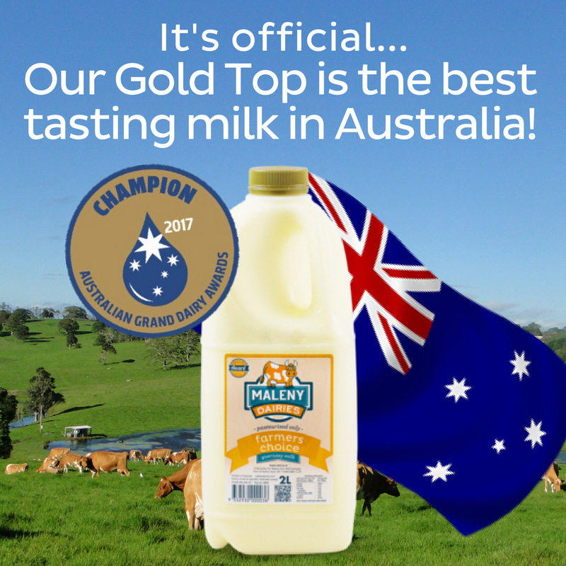 MalenyDairies's tweet photo. Our Gold Top has been awarded Champion Milk by the #AGDA2017 ! Thanks to our farmers for supplying us with the best milk in Australia! https://t.co/KenYzDZ0ox