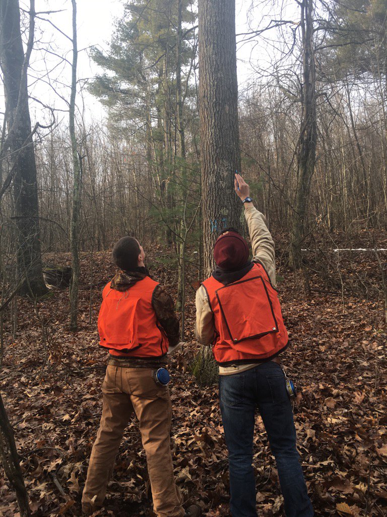 PSU_Forester's tweet photo. Normally its the students that get a grade but today the students are learning how to grade trees #psuforestry https://t.co/Ef9aPWPZlg
